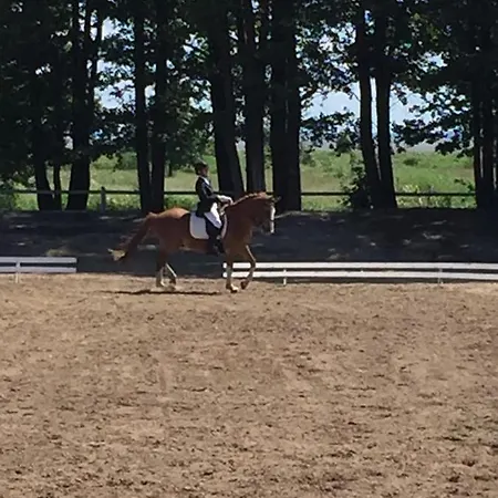 Sassi Talu Horsefarm *
