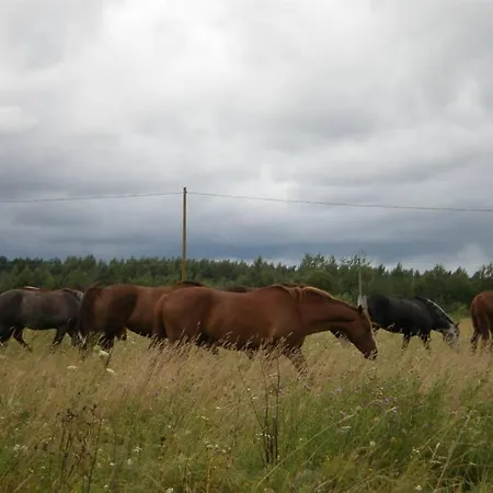 Penzion Sassi Talu Horsefarm
