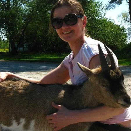 Vendégház Sassi Talu Horsefarm