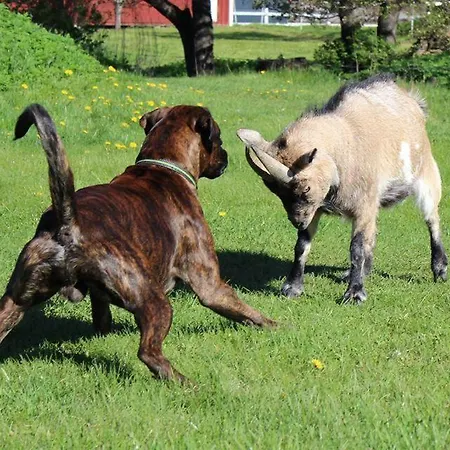 Sassi Talu Horsefarm 3*