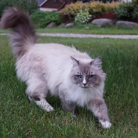 Sassi Talu Horsefarm Vendégház 3*