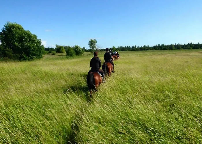 بيت ضيافة Sassi Talu Horsefarm