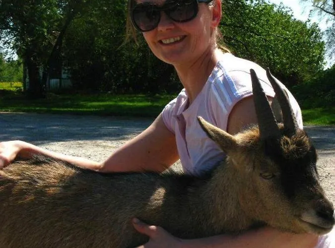 بيت ضيافة Sassi Talu Horsefarm