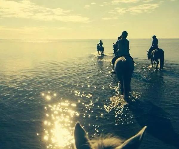 Sassi Talu Horsefarm 3*