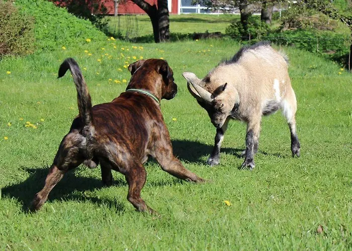 Sassi Talu Horsefarm 3*